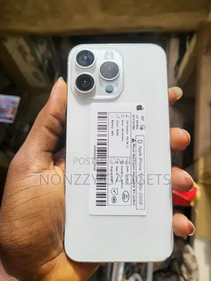Apple iPhone 15 Pro Max 256 GB Silver