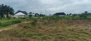 Land for Sale in Oyigbo Beside the Eleme Tarred Road