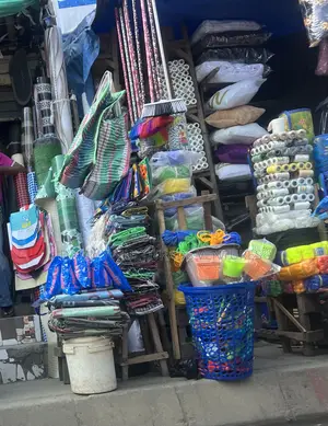 Plastic Laundry and Storage Basket