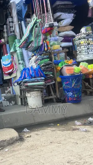 Plastic Laundry and Storage Basket