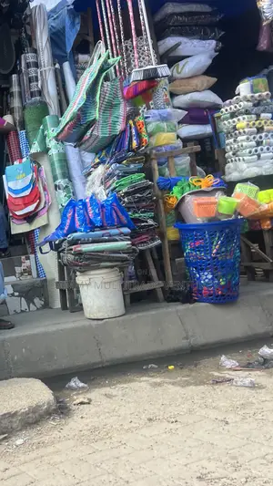 Plastic Laundry and Storage Basket