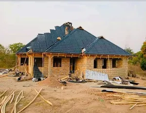 Carpentry and Roofing, Roofing Expert