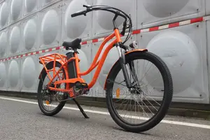 500W Heavy-Duty Electric Cargo Bicycle for Delivery - Jara