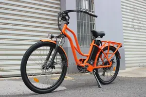 500W Heavy-Duty Electric Cargo Bicycle for Delivery