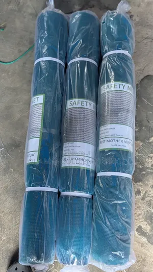 Scaffolding Net