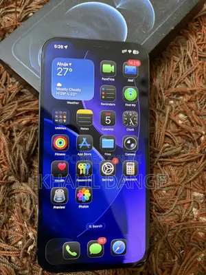 Apple iPhone 12 Pro Max 256 GB Blue