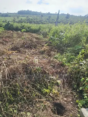 Land for Sale, 500sqm in Epe Isiwo