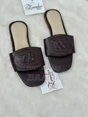 Zemdys Brown Monochrome Slide for Women
