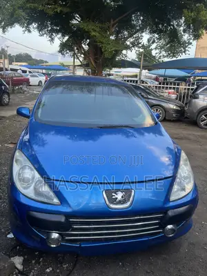Peugeot 307 2007 Blue