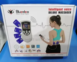 Intelligent Voice Deluxe Massager