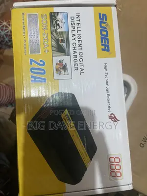 20ah Battery Charger 12/24v Battery Charger