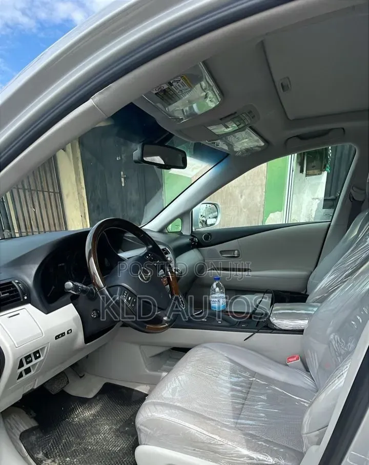 Lexus RX 2010 Silver