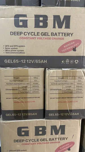 65AH 12V GBM Deep Cycle Battery