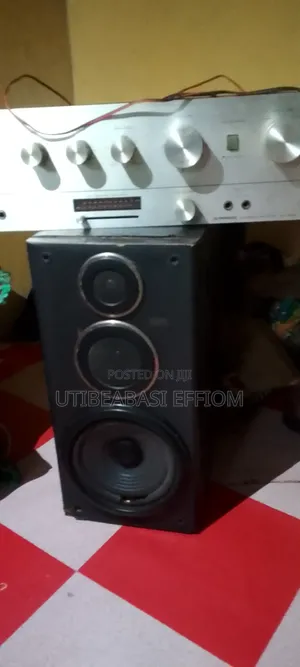 Amplifier With Speaker