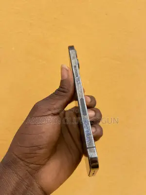 Apple iPhone 12 Pro Max 128 GB Graphite