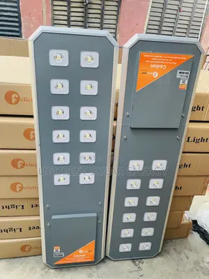 D2-80w Felicity Solar Street Light