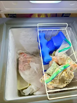 105L Skyrun Chest Freezer