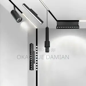 Magnetic Profile Light