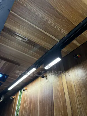 Magnetic Profile Light