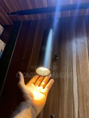 Magnetic Profile Light