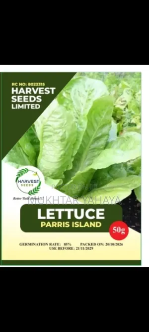 LETTUCE, Parris Island