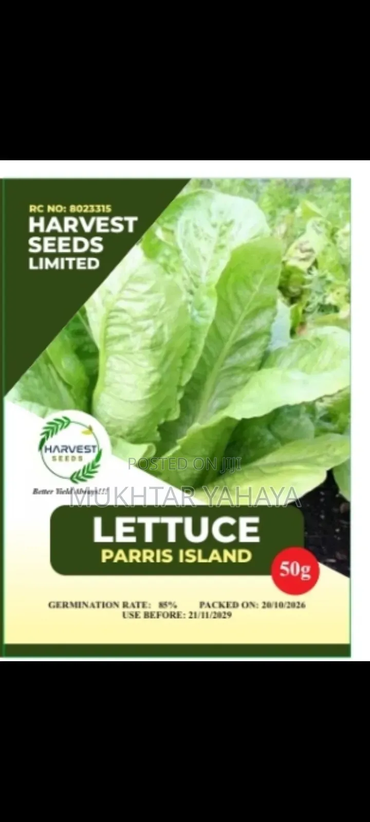 LETTUCE, Parris Island