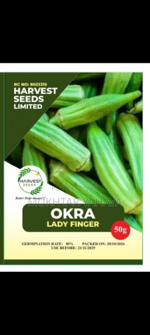 OKRA,Lady Finger