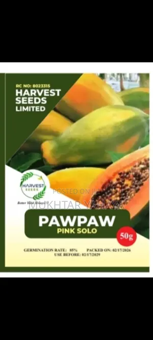 PAWPAW, Pink Solo