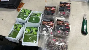 Ginseng Five Treasure Tea(Few Packs Left)