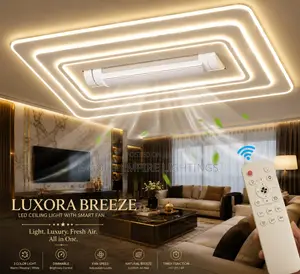 BIG Modern a/C Ceiling Fan Light