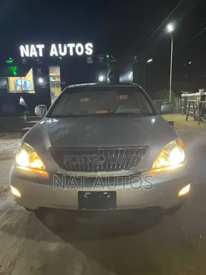 Lexus RX 2008 Silver