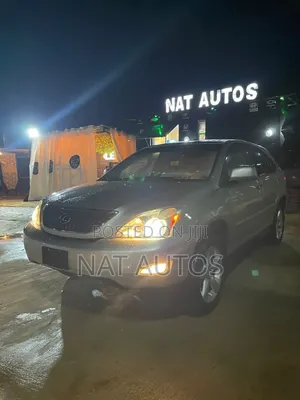 Lexus RX 2008 Silver