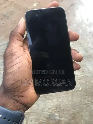 Apple iPhone 13 Pro 256 GB Gray