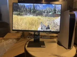 Dell 24 Inch P2419h Framless Monitor