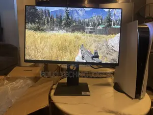 Dell 24 Inch P2419h Framless Monitor