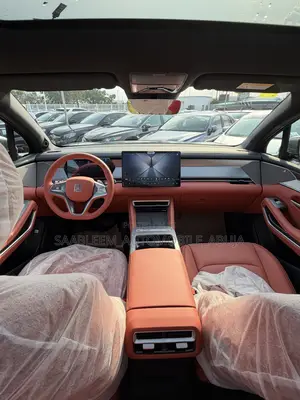 New BYD Tang EV 2025 Gray