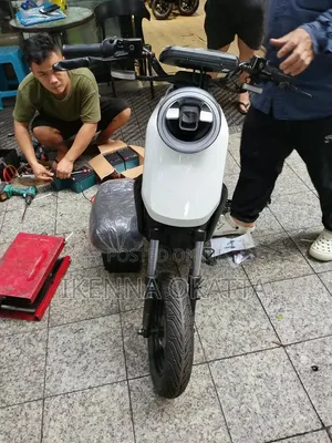Electric Bike