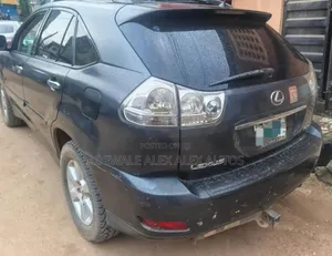 Lexus RX 2009 Gray