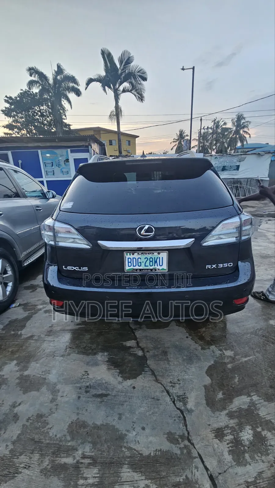 Lexus RX 2010 Blue