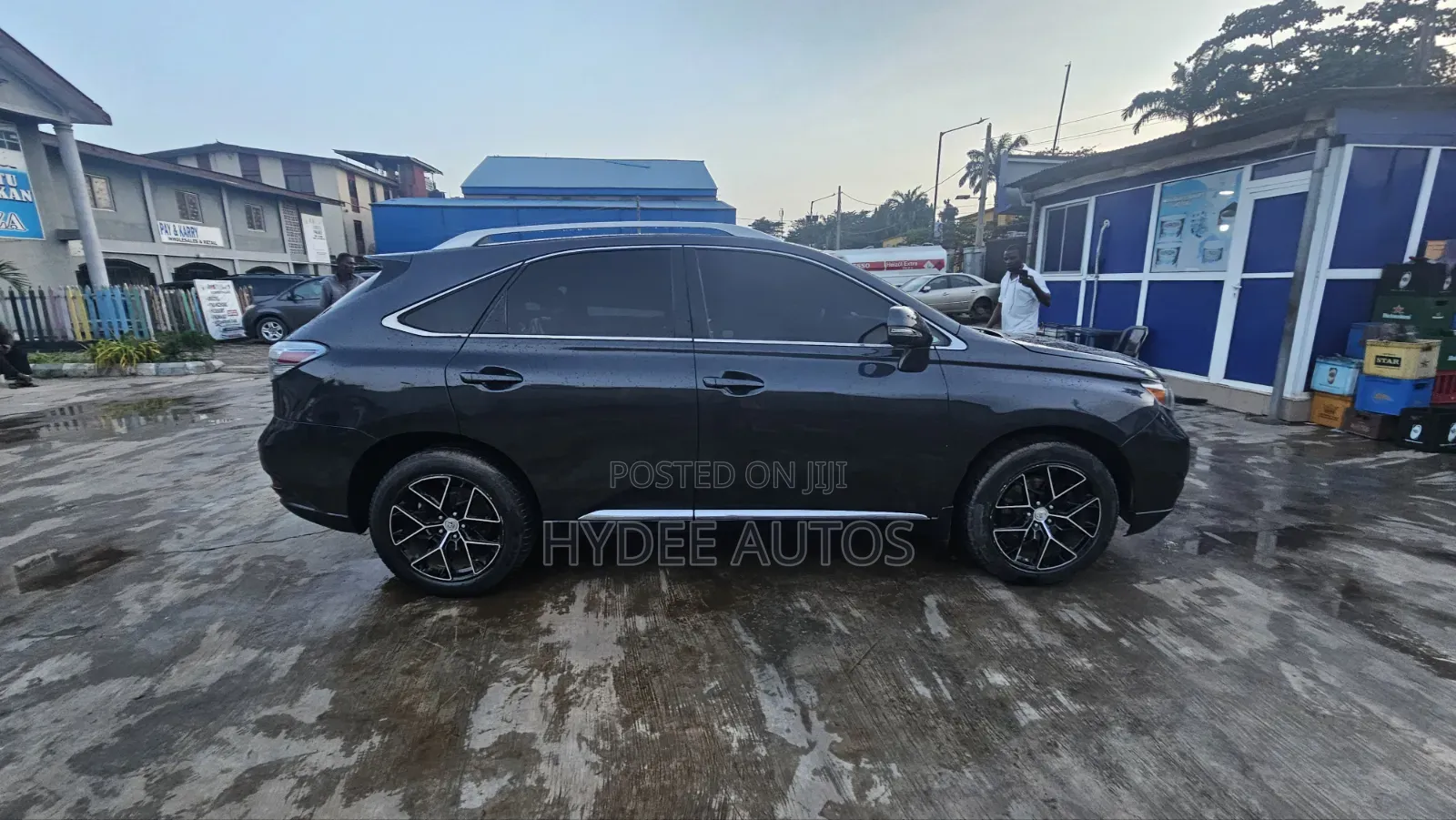 Lexus RX 2010 Blue