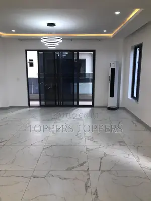 Professional Cleaner - Gbagada, All Lagos - Home Office Post Const