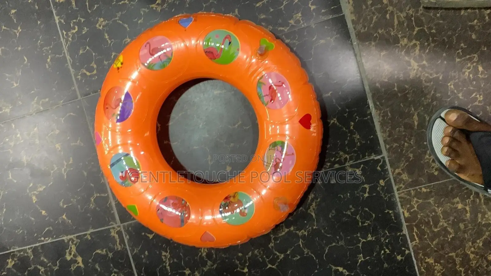 Pool Floaters