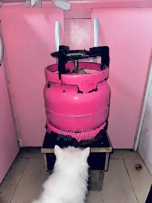 Gas Cylinder (Pink)