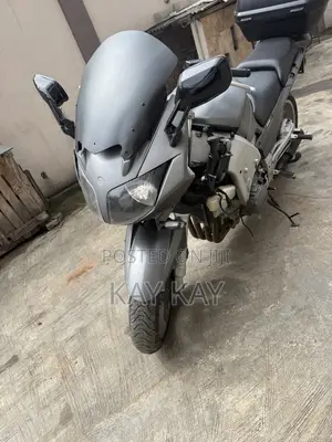 Yamaha 2010 Gray