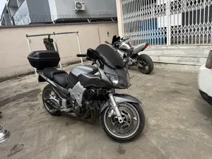 Yamaha 2010 Gray