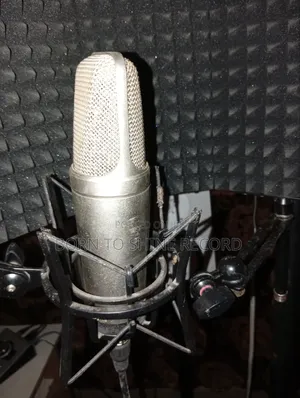 NT2 Rode Microphone