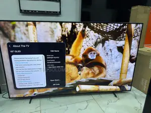 Samsung 65" QLED Vision Ai 2025/26 Smart TV