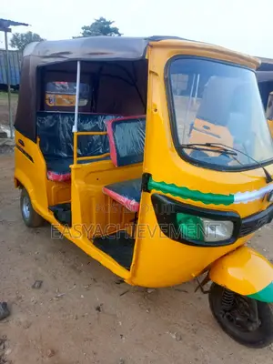 Tricycle 2020 Gray