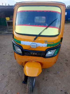 Tricycle 2020 Gray