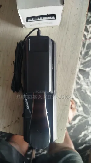 Sustain Pedal